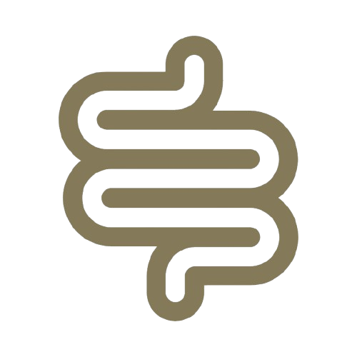 Headache Icon